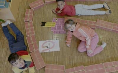 Flamingo – Stück für Stück