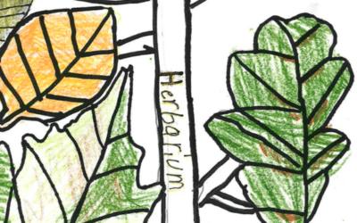 Herbarium