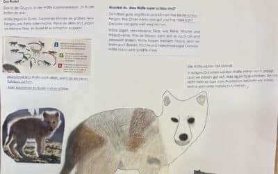 Der Wolf