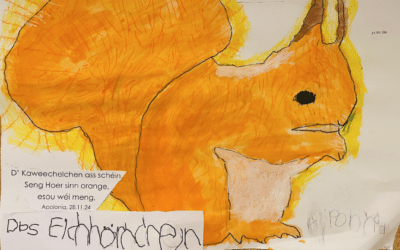 Eichhörnchen