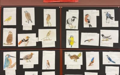 Die Schüler stellen Vögel dar