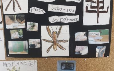 Die Stabschrecken