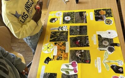 Blumen und Sträucher entdecken und beobachten