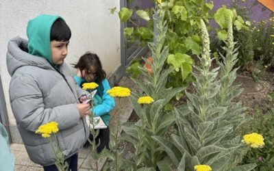 Einweihung unseres neuen Schulgartens